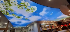 Gökyüzü Gergi Tavan modelleri