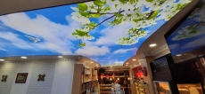 3d güneşli gökyüzü gergi tavan 