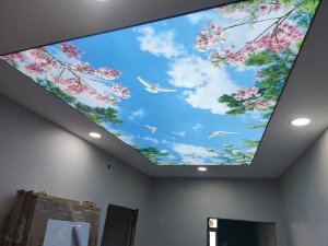 Esenyurt Barisol Gökyüzü gergi tavan çalışması