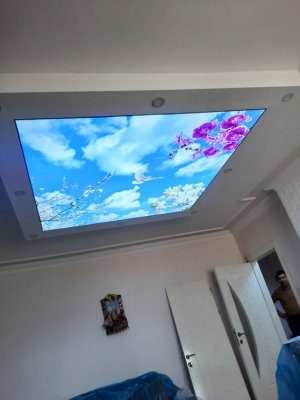 Barisol gergi tavan  modelleri