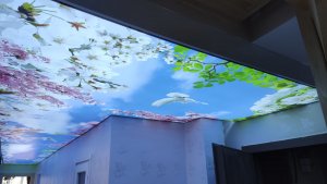 Barisol gergi tavan  modelleri
