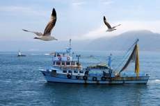 Deniz ve Sahil Resimleri gergi tavan modelleri