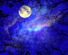 Uzay ve Gece gergi tavan modelleri