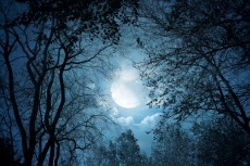 Uzay ve Gece gergi tavan modelleri