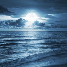 Uzay ve Gece gergi tavan modelleri