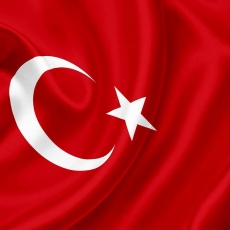 BAYRAK VE LOGOLAR gergi tavan modelleri