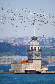 Şehir ve Yapılar gergi tavan modelleri