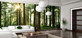 3d Duvar Kağıtları - Manzaralı Duvar Kağıtları